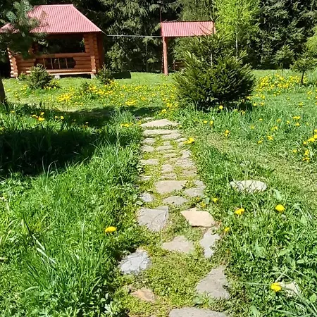 урочище луг Lodge Vorokhta