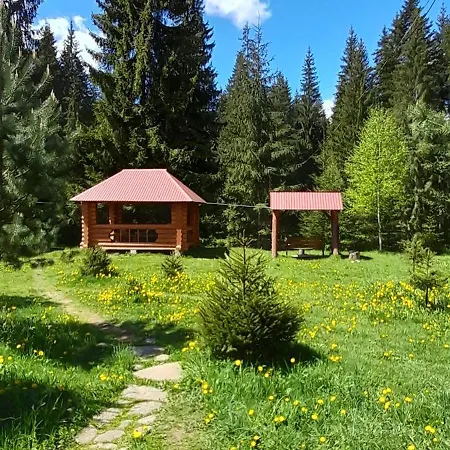 Lodge урочище луг Vorokhta