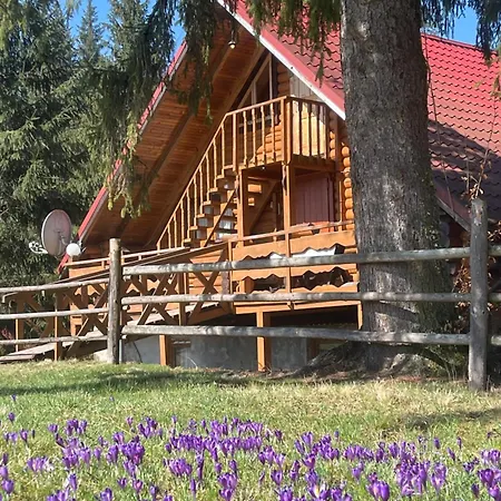 Lodge урочище луг Vorochta