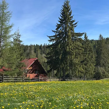 урочище луг Lodge Vorokhta