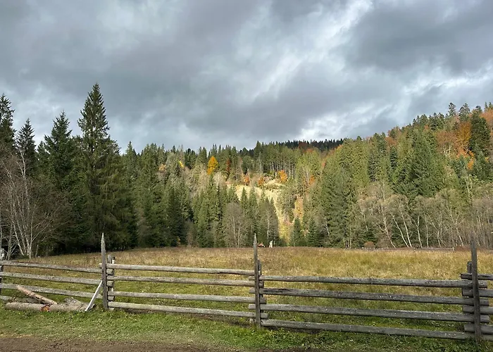 урочище луг 山林小屋 沃罗赫塔