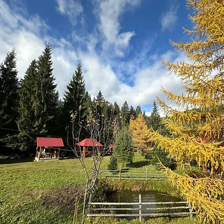 Lodge урочище луг Vorokhta