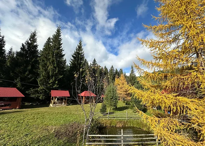 Lodge урочище луг Vorokhta